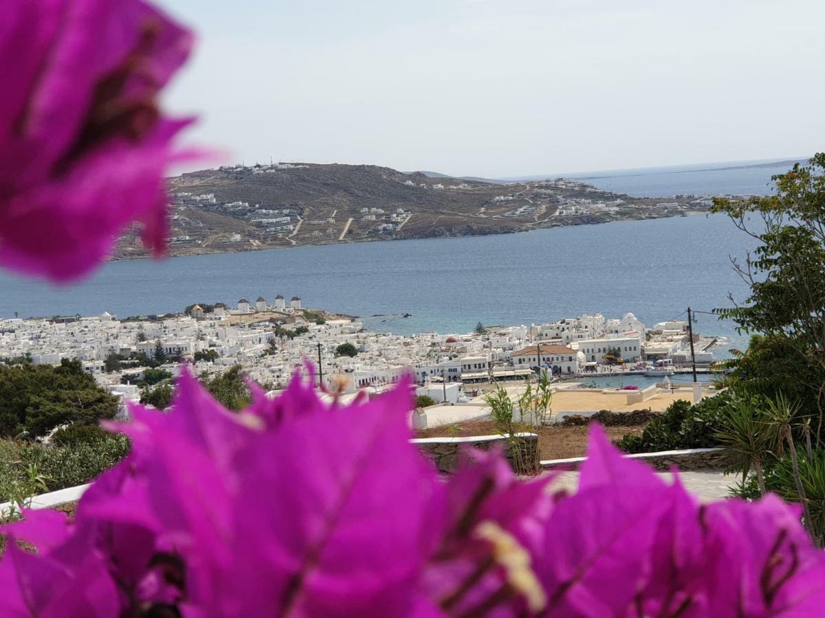 Bellou Suites Mykonos Town Kültér fotó